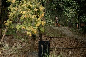 BIB: 
                            <button type="button" onclick="openModal(22790955)" class="btn btn-primary btn-sm float-right btn-popup" data-toggle="modal" data-target=".modal-high-quality">
                        <i class="fas fa-shopping-cart"></i> Add to Cart
                    </button>
                                            <button type="button" onclick="isThisMe(22790955, true)" class="btn btn-success btn-sm float-right btn-popup btn-isme hidden" data-toggle="tooltip" data-placement="bottom" title="นี่คือรูปของคุณใช่ไหม คลิกที่นี่เพื่อเอาเข้าอัลบั้ม">
                        <i class="fas fa-plus"></i> Add to album
                    </button>
                    <button type="button" onclick="isThisMe(22790955, false)" class="btn btn-warning btn-sm float-right btn-popup btn-isnotme hidden">
                        <i class="fas fa-ban"></i> Remove from album
                    </button>